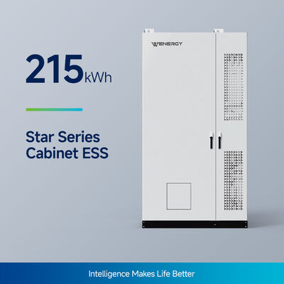 satın al Ticari uygulamalar için 100kW / 215kWh sıvı soğutulmuş BESS Kabinesi online manufacture