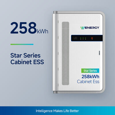 comprar Sistema de almacenamiento de energía industrial y comercial de 125 kW/258 kWh Diseño Integrado online manufacture