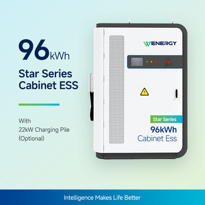 comprare Armadio ESS per sistema ibrido solare-diesel da 96 kWh con raffreddamento a liquido e protezione IP55 online manufacture