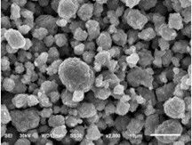 ซื้อ วัสดุแคทโดดแบตเตอรี่ Lfp ที่มั่นคง ขนาดปูน กลาง นิกเกิลต่ํา Polycrystalline online manufacture