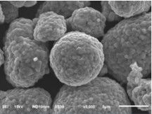 comprare Lunga Durata del Ciclo di Vita dei Materiali Catodici SN2L per Batterie di Motociclette Elettriche e Biciclette online manufacture