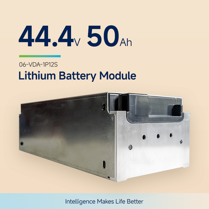 Custom 2.2Kwh 44.4V 50Ah VDA NMC Lithium Battery Module For E Truck And ...